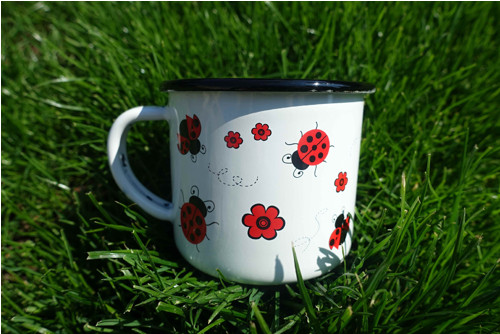 Plecháček s beruškou